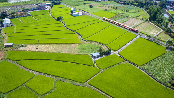 مسیر زیبای قطار الیشان تایوان